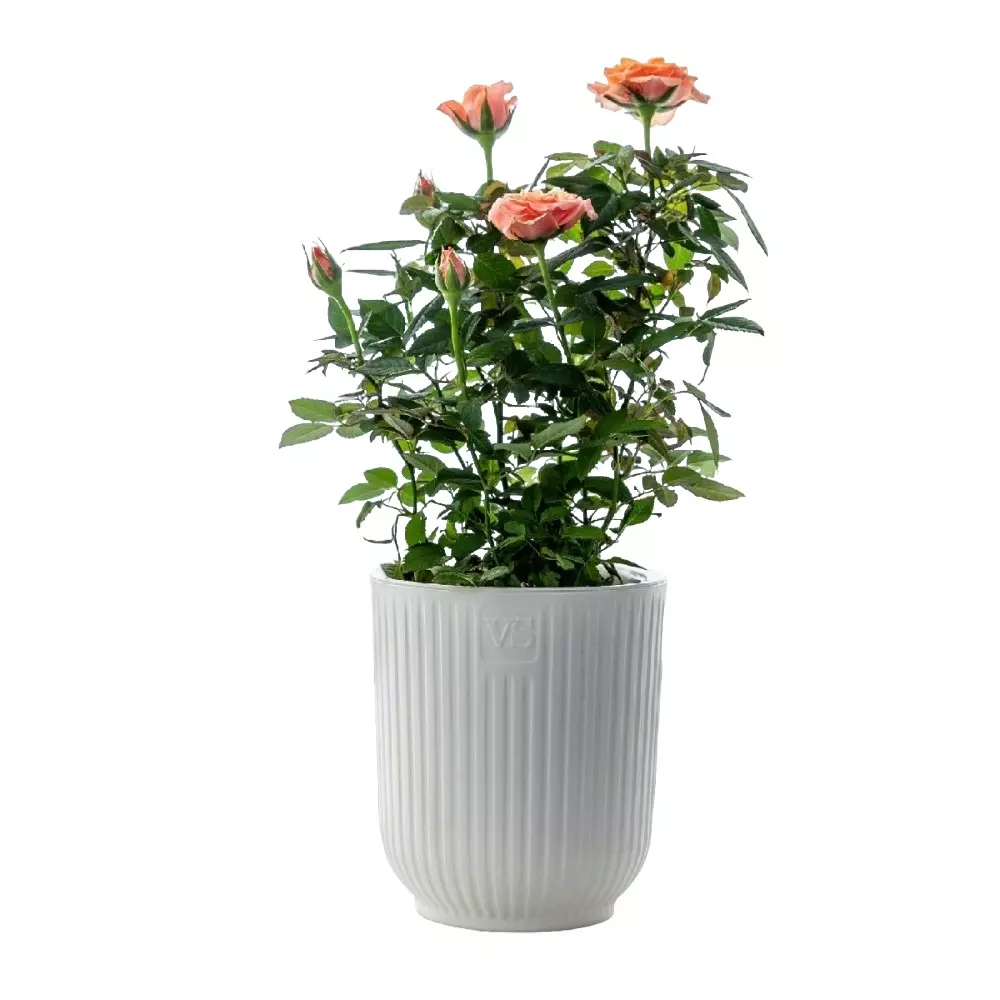 Горшок для цветов 1,6 л с фитильным поливом, D135 мм, дренаж, Эйва VipSet АМО-1,6-01 белый