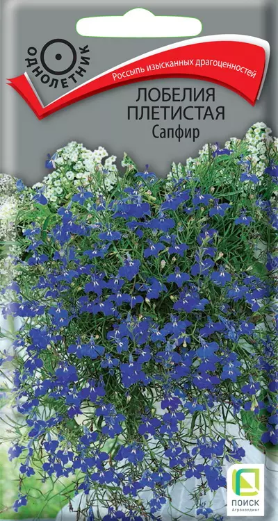 Семена цветов Лобелия Сапфир плетистая 0.1 гр (Поиск)