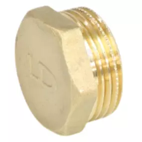 Заглушка 2 НР латунь LD LD.65.505.50
