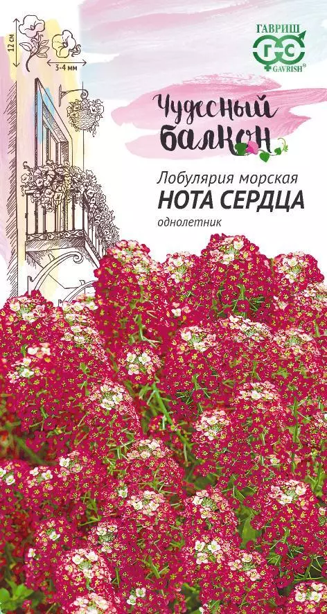 Семена цветов Алиссум Лобулярия Нота сердца 0.05 гр (Гавриш) цв