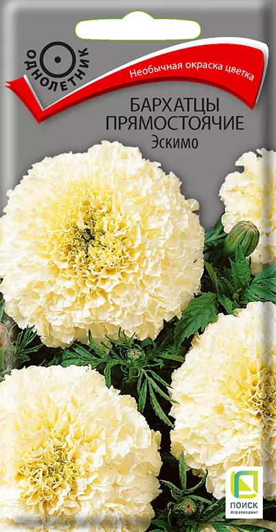 Семена цветов Бархатцы Эскимо (Поиск) цв