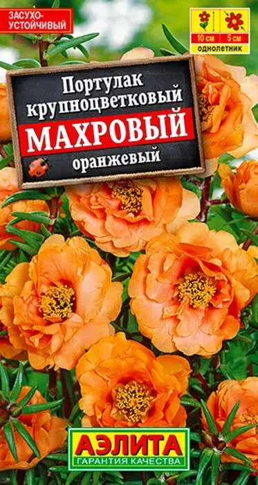 Семена цветов Портулак Махровый оранжевый 0.05гр АЭЛИТА