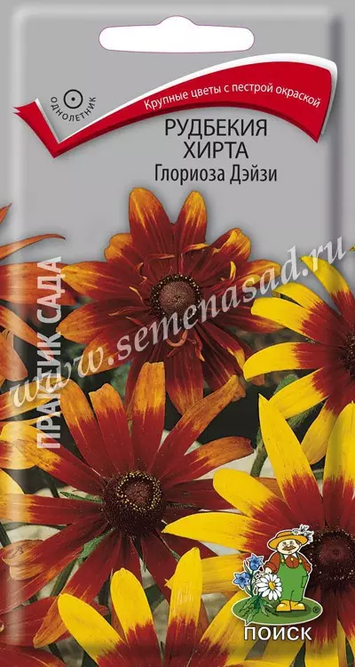 Семена цветов Рудбекия Хирта Глориоза Дэйзи, ПОИСК 0,1 г ц/п