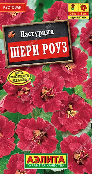 Семена цветов Настурция Шери Роуз. АЭЛИТА Ц/П 1 г