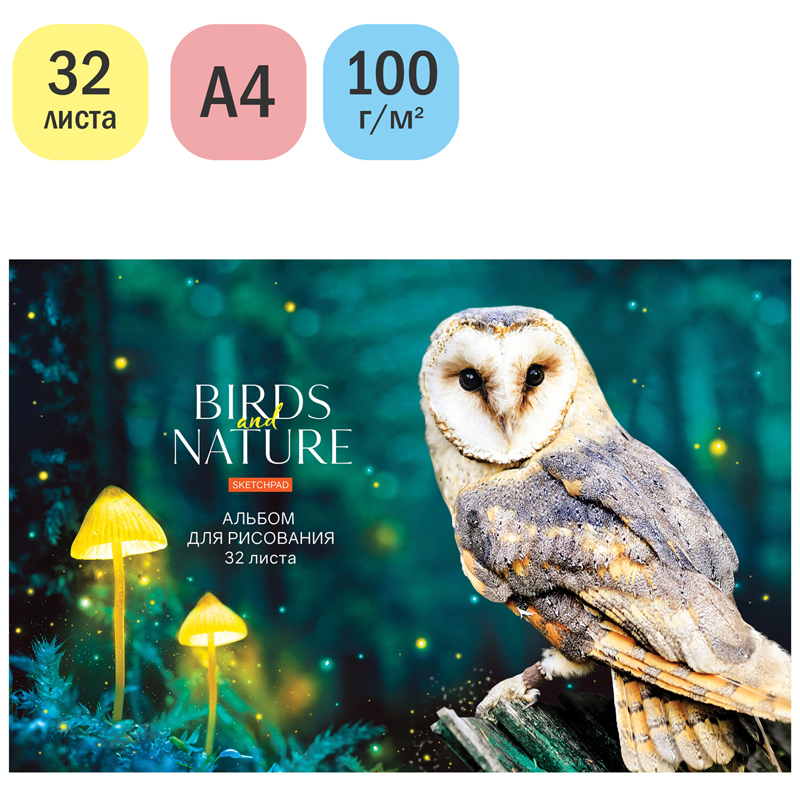 Альбом для рисования 32л., А4, на скрепке ArtSpace Животные. Birds and nature