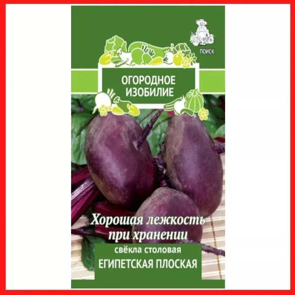 Семена Свекла Египетская плоская 3гр(Поиск) серия ОИ — купить по выгодной  цене в интернет-магазине Колорлон