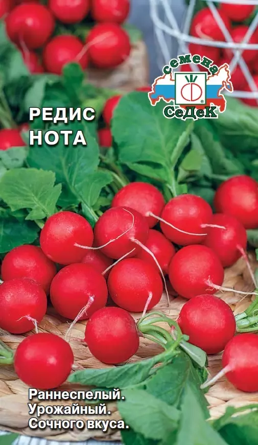 Семена редис Нота(ран.спел.) Евро, 2г Ц/П СеДеК