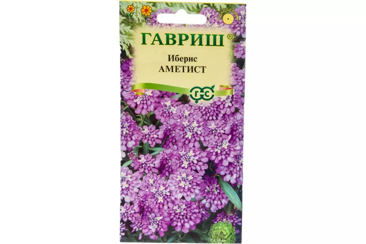 Семена цветов Иберис Аметист 0.1 гр(Гавриш) цв