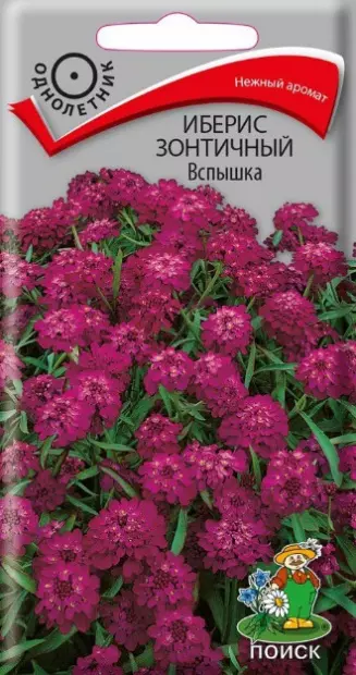 Семена цветов Иберис зонтичный Вспышка. ПОИСК Ц/П 0,3 г