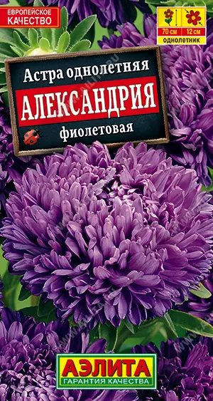 Семена цветов Астра Александрия фиолетовая. АЭЛИТА Ц/П 0,1 г