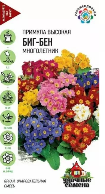 Семена цветов Примула высокая Биг-Бен, Удачные семена 20 шт ц/п