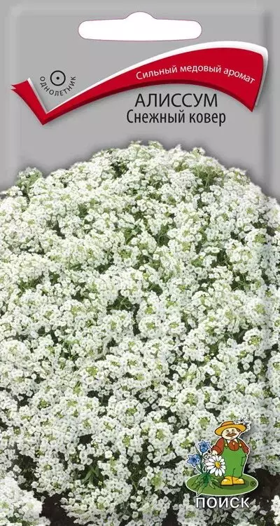 Семена цветов Алиссум Снежный ковер 0.3гр(Поиск) цв