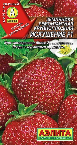 Семена Земляника ремонтантная крупноплодная Искушение F1 АЭЛИТА Ц/П 10шт