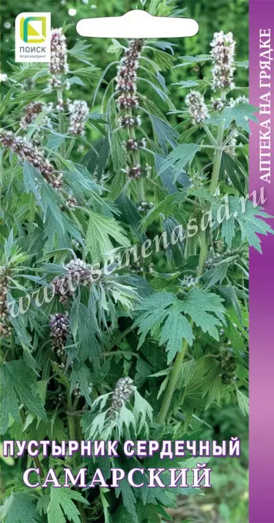 Семена Пустырник сердечный Самарский ПОИСК 0,1 г ц/п