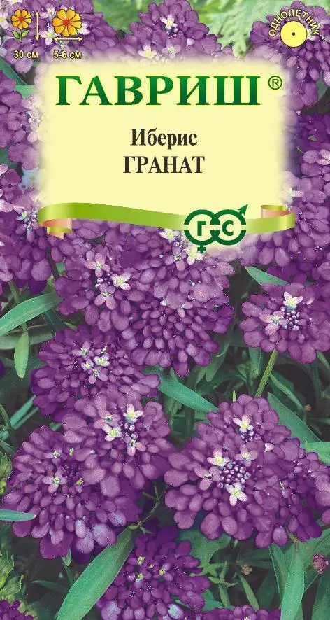 Семена цветов Иберис гранат 0.1 г (Гавриш) цв