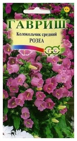 Семена цветов Колокольчик Розеа 0.1гр (Гавриш) цв