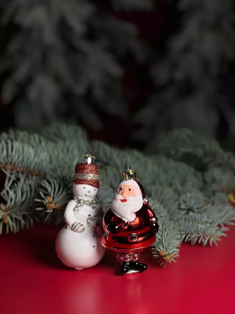 Елочные украшения пластик (2 шт) Волшебство на ветках VNVE-B45