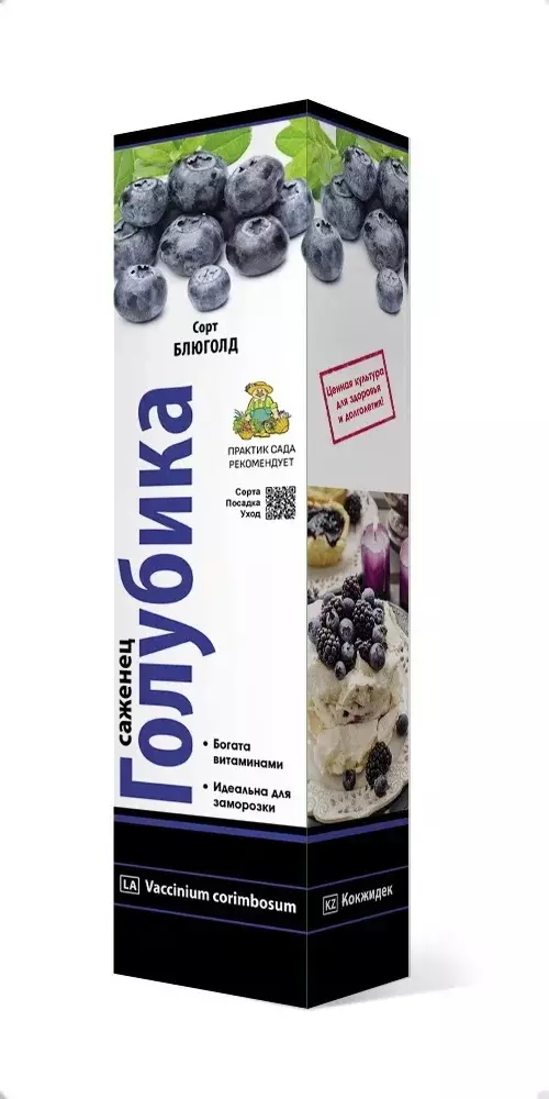 Саженец Голубика высокорослая Блюголд, ранний (в тубе), Поиск