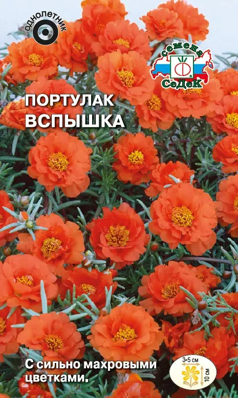 Семена цветов Портулак Вспышка (крупноцветковый, махровый, оранжевый) Ц/П СеДеК