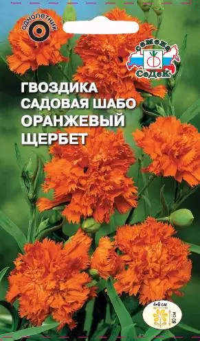 Семена цветов Гвоздика Оранжевый щербет (садовая, оранжевая) . Евро, 0,1г Ц/П СеДеК