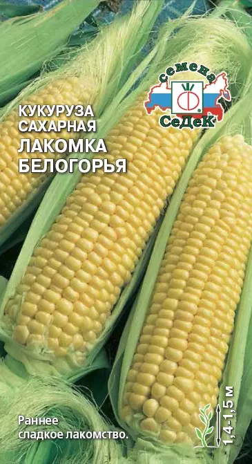 Семена кукуруза Лакомка Белогорья (сахарная) Евро, 5г Ц/П СеДеК