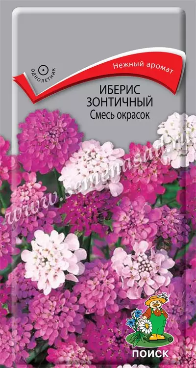 Семена цветов Иберис зонтичный, смесь окрасок. ПОИСК Ц/П 0.5 г