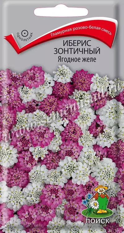 Семена цветов Иберис зонтичный Ягодное желе. ПОИСК Ц/П 0.1 г