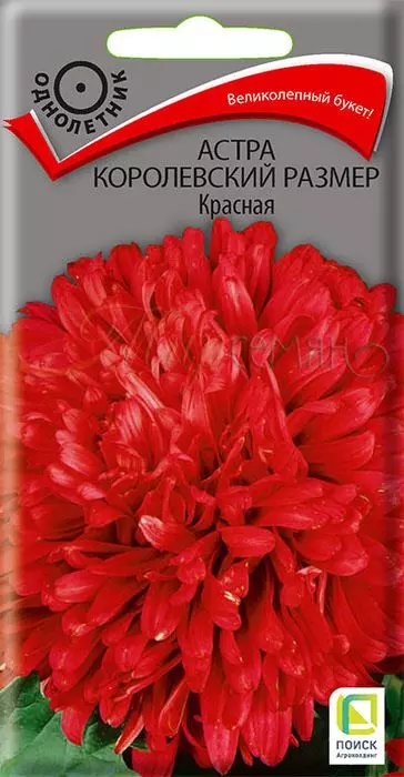 Семена цветов Астра Королевский размер Красная 0.1 гр (Поиск)
