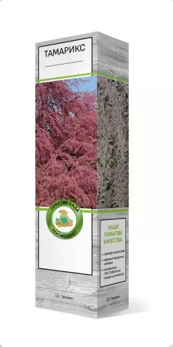 Саженец Тамарикс четырехтычинковый (в тубе), Поиск