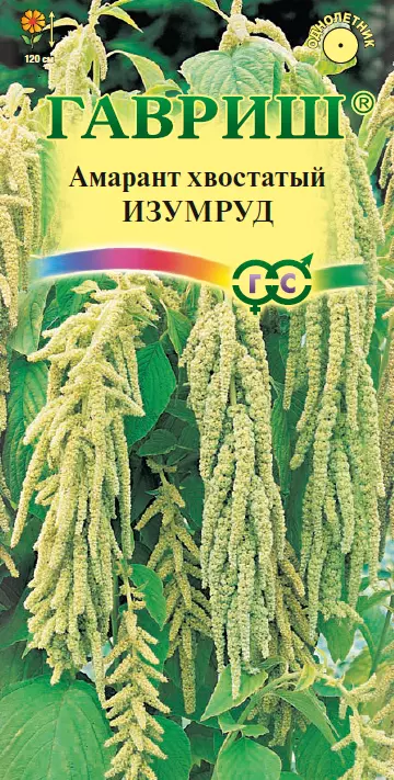 Семена цветов Амарант изумруд 0.1 гр (Гавриш) цв