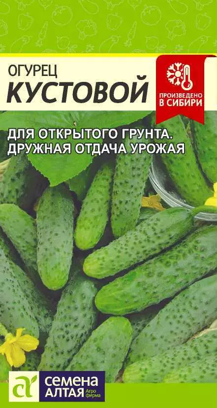 Семена Огурец Кустовой. Семена Алтая Ц/П 0,5 г