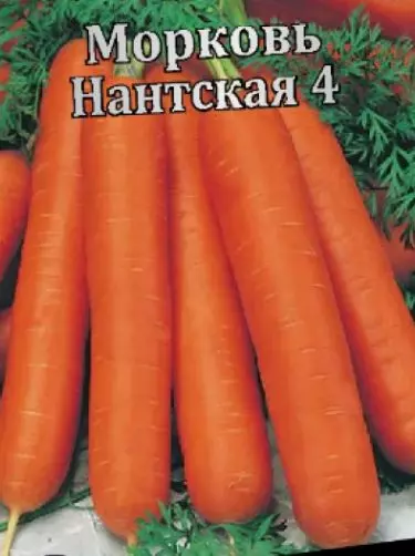 Семена Морковь нантская Агрофирма АЭЛИТА 2 г б/п