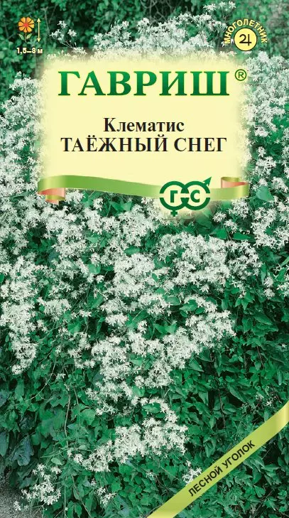 Семена Клематис Таежный снег(манчжурский) 0,05 г Гавриш ц/п