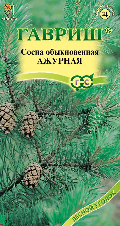 Семена Сосна обыкновенная Ажурная 0,2 г Гавриш ц/п