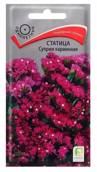 Семена цветов Статица Суприм карминная ПОИСК 0,15 г ц/п