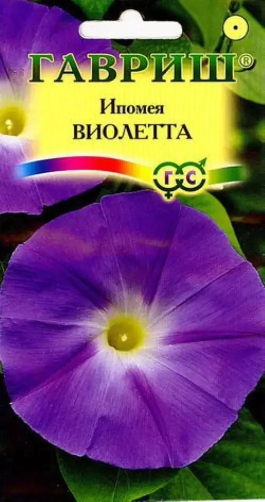 Семена цветов Ипомея Виолетта 0.5гр(Гавриш) цв