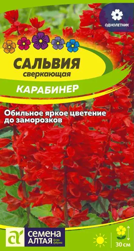 Семена цветов Сальвия сверкающая Карабинер. Семена Алтая Ц/П 0,1 г