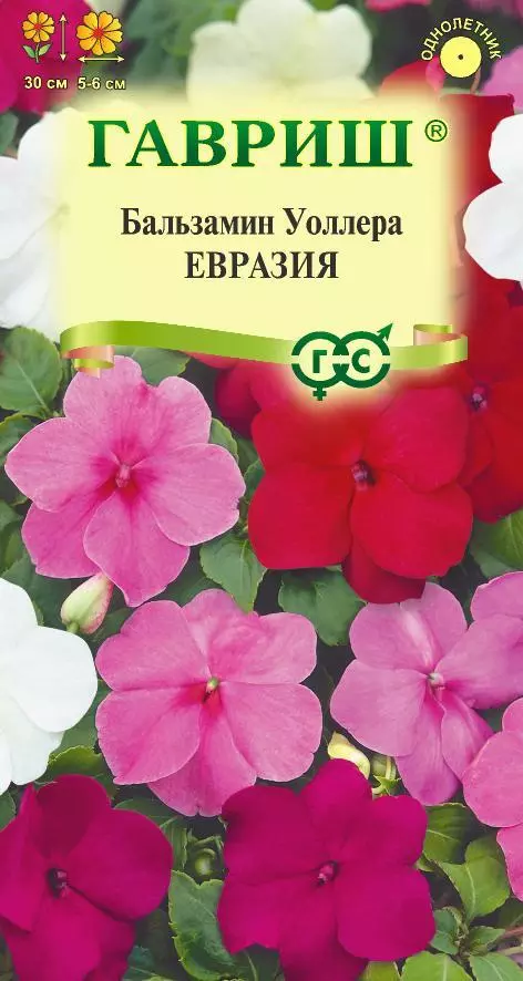 Семена цветов Бальзамин Евразия смесь (Гавриш) цв