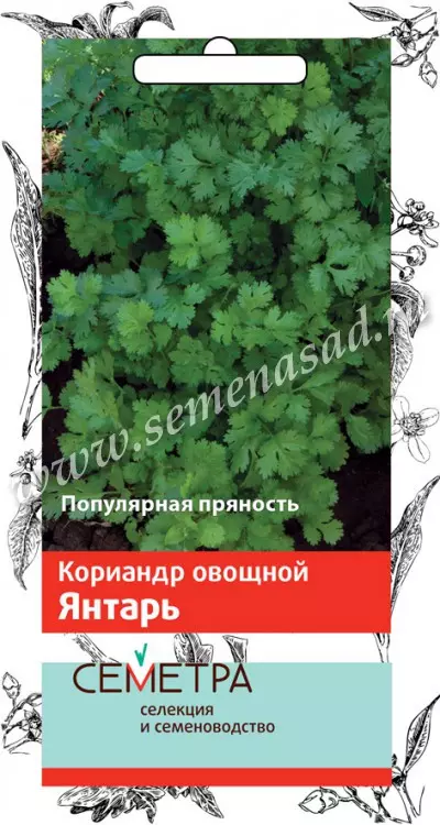 Семена Кориандр овощной Янтарь. СЕМЕТРА Ц/П 3 г