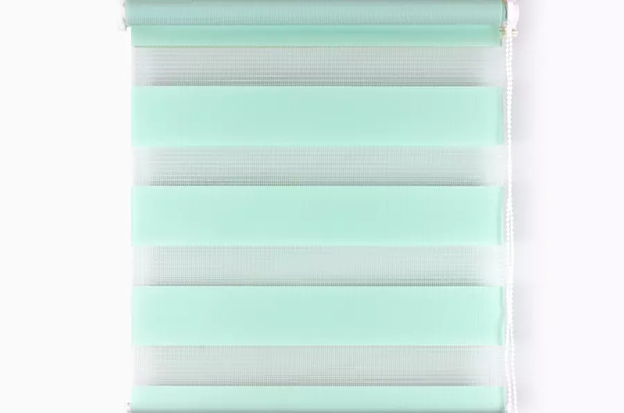 Рулонная штора день-ночь 55 (51)*160 см светло-зеленый Магеллан