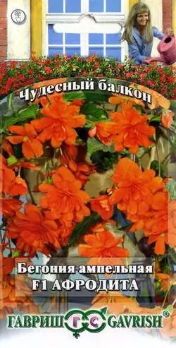 Семена цветов Бегония Ампельная АфродитаF1 5шт Чудесный балкон (Гавриш) цв