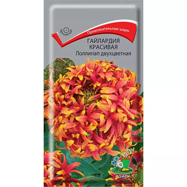 Семена цветов Гайлардия красивая Лоллипап двухцветная, ПОИСК 0,1 г ц/п