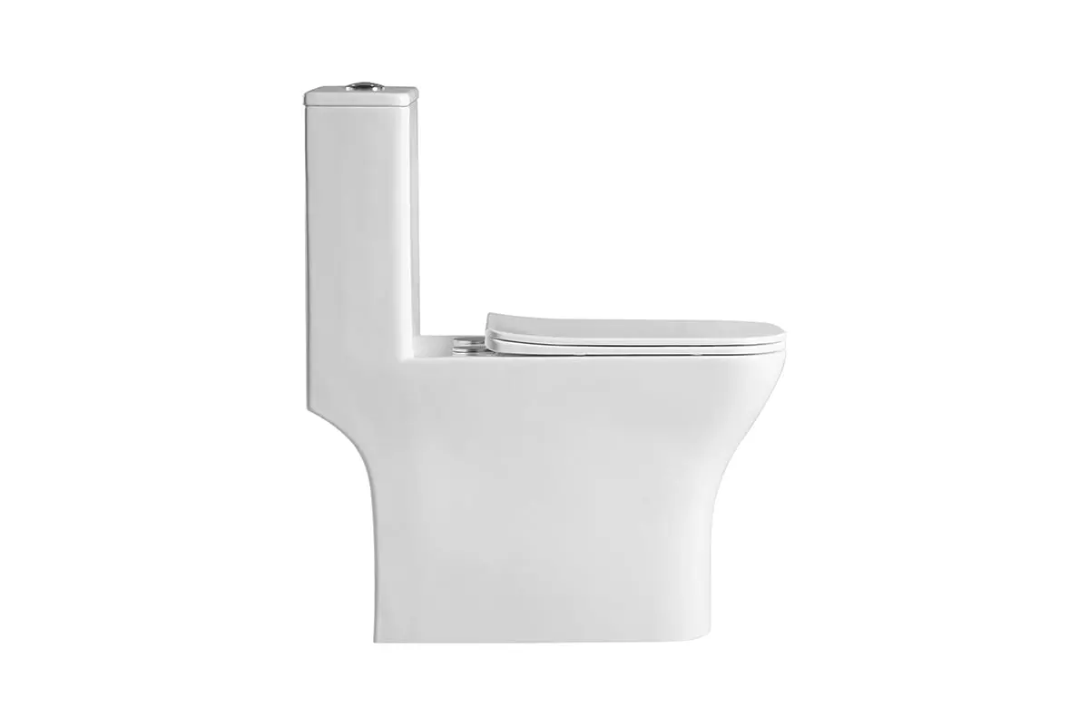 Унитаз моноблок BelBagno NEON BB8617CPR-MN/SC, микролифт