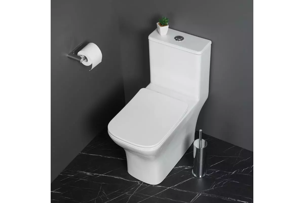 Унитаз моноблок BelBagno NEON BB8617CPR-MN/SC, микролифт