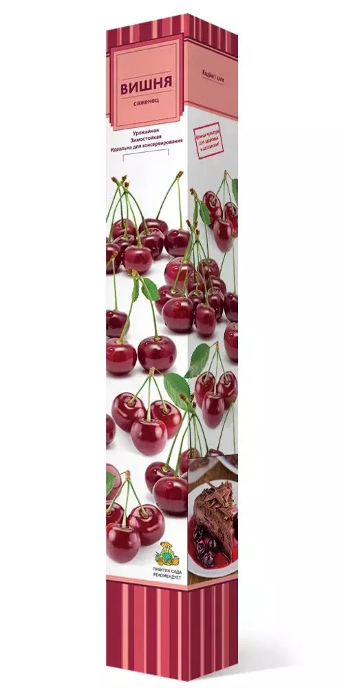 Саженец Вишня Ливенская средний, в тубе, Поиск