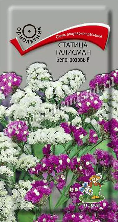 Семена цветов Статица Талисман Бело- розовый. ПОИСК Ц/П 0.1 г