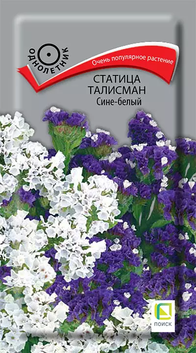 Семена цветов Статица Талисман Сине- белый 0.1 гр (Поиск)