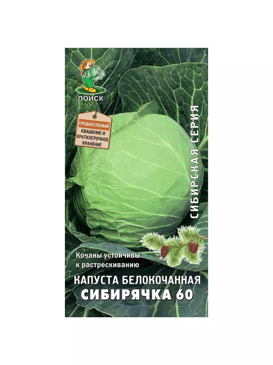 Семена Капуста белокочанная Сибирячка 60 . ПОИСК Ц/П СС 0,5 г