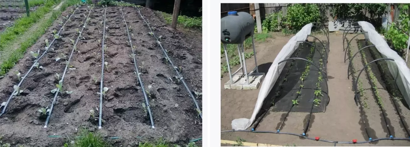 Капельная лента для полива с эмиттерами 20см (d=16 мм) БУХТА 100м MasterProf ДС.060104