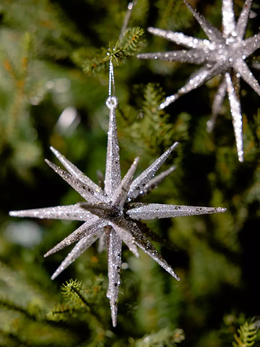 Елочные украшения пластик (3 шт) Волшебство на ветках VNVE-B61